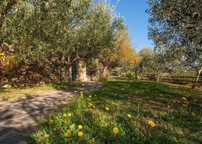 Piccola Oasi 3 By Interhome Dom wakacyjny Capoliveri (Isola d'Elba)